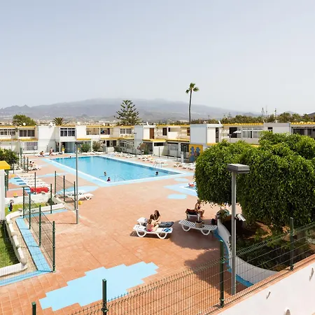 Live Drago Bel C Hercules Costa Del Silencio