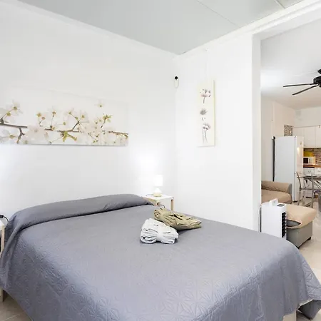 Live Drago Bel C Hercules * Costa Del Silencio